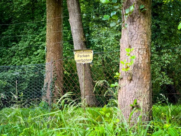 Fotorückblick: 51. Lübbenauer Kahnkorso 2025 