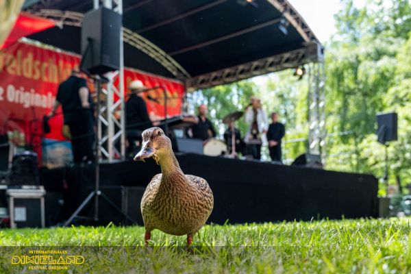 53. INTERNATIONALES DIXIELAND FESTIVAL Dresden